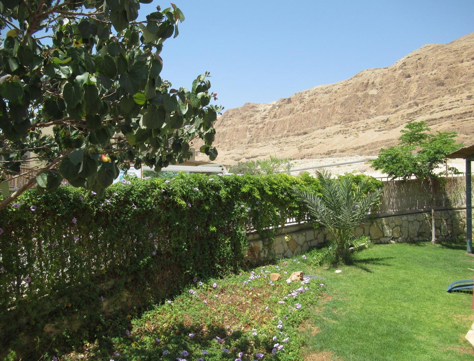 Unique&Warmy Place In The Dead Sea Avnat Luaran gambar